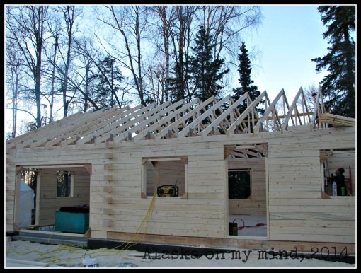 18 Trusses set up, 2 more to go