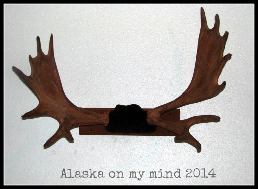 the finished refurbished moose rack