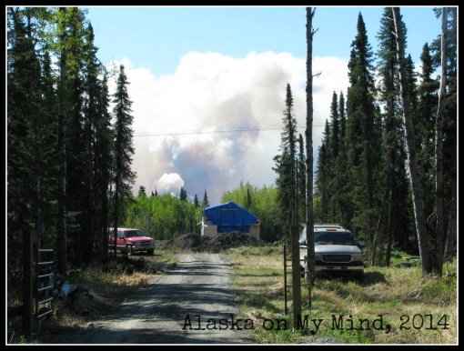 Taken near Soldotna, Tuesday afternoon.