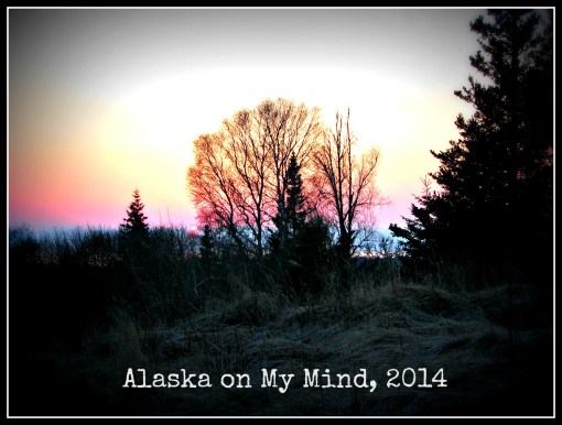 Almost gone, but still beautiful.