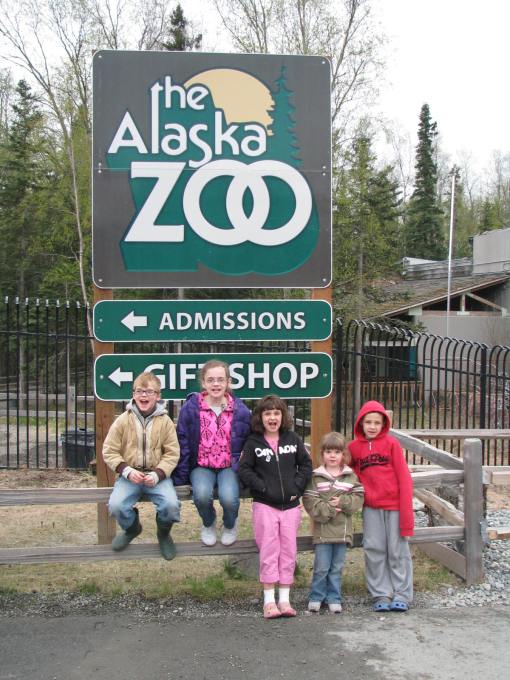 Fun at the Alaska Zoo!