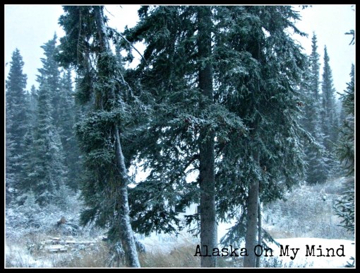 Photo taken by Thing 1