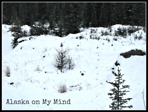 Tracks up the embankment.