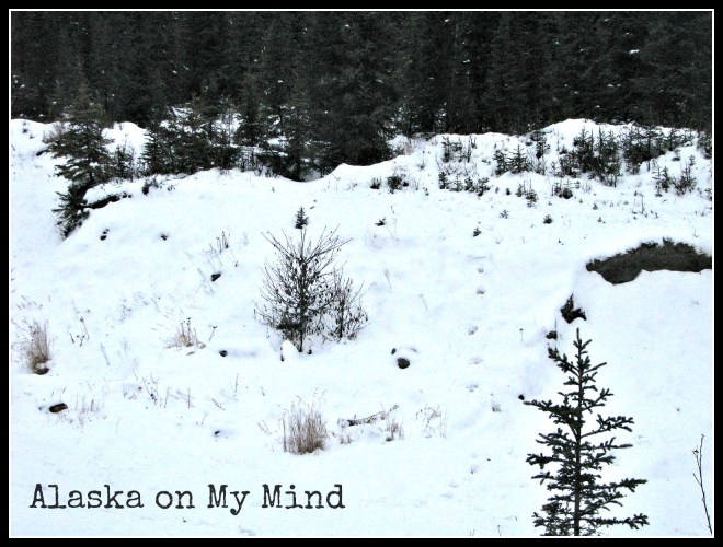 Tracks up the embankment.