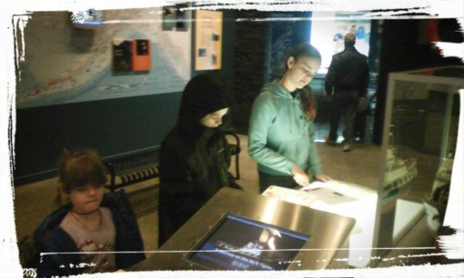 IMG_20160221_133600.JPG image