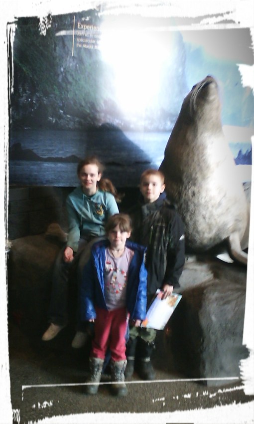 IMG_20160221_133739.JPG image