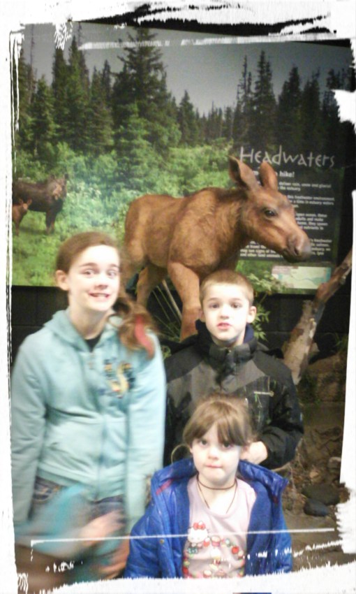 IMG_20160221_133840.JPG image