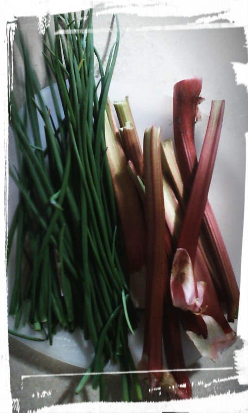 IMG_20160515_174227.JPG image