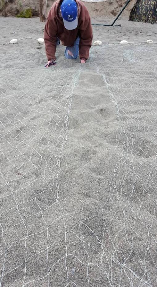 Photo credit: Kaylena M.