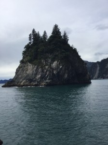 A lil island growing lil trees.