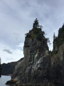 The determination of this tree!