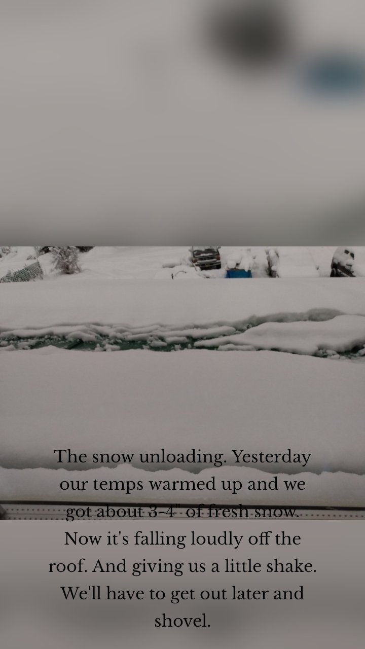 















The snow unloading. Yesterday our temps warmed up and we got about 3-4" of fresh snow.  Now it's falling loudly off the roof. And giving us a little shake. We'll have to get out later and shovel.







