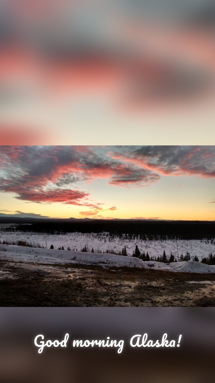 








Good morning Alaska!