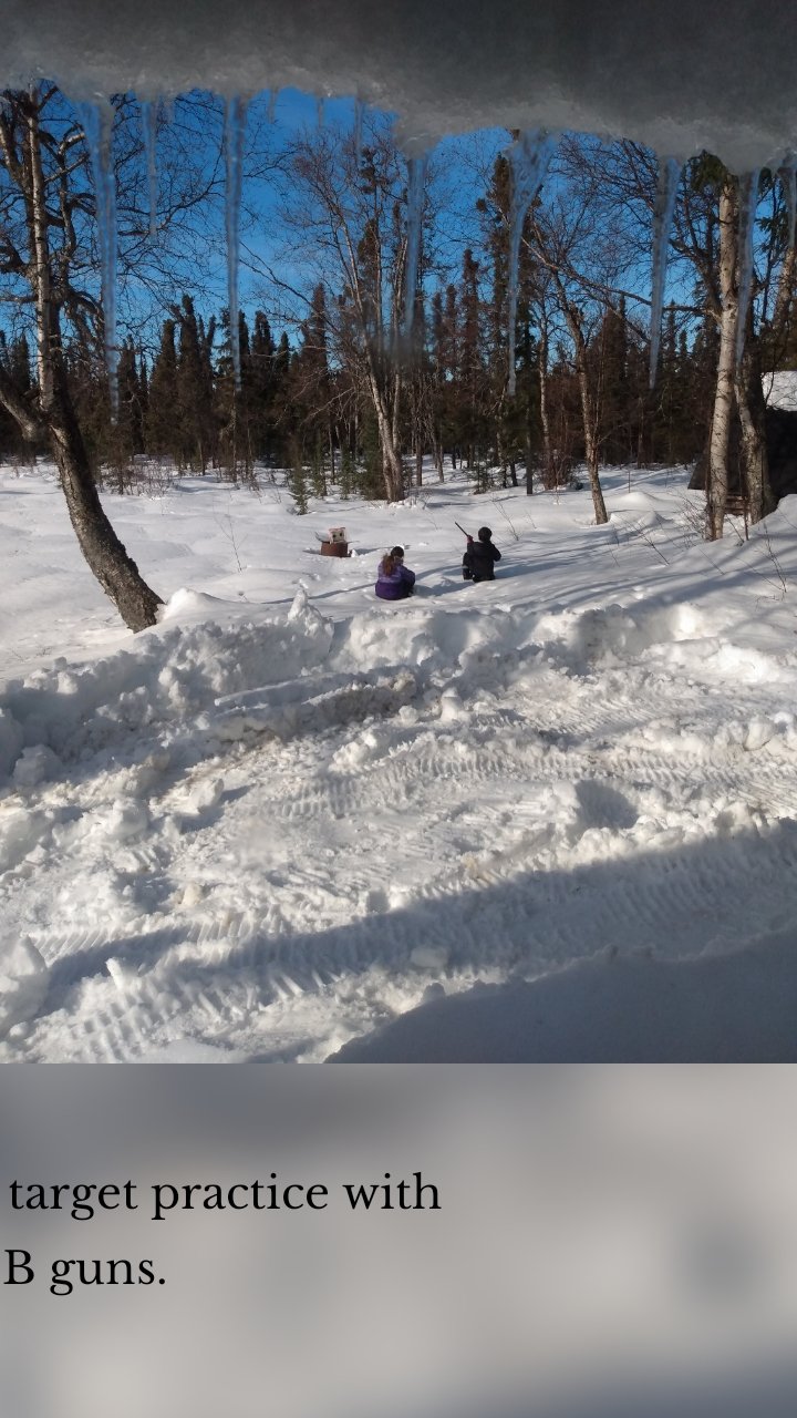 







A little target practice with their BB guns.