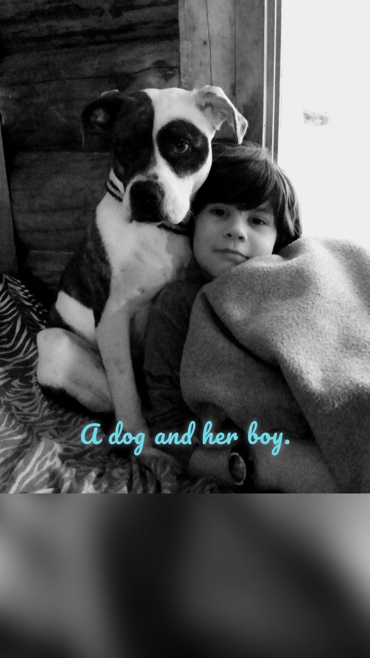 

A dog and her boy.