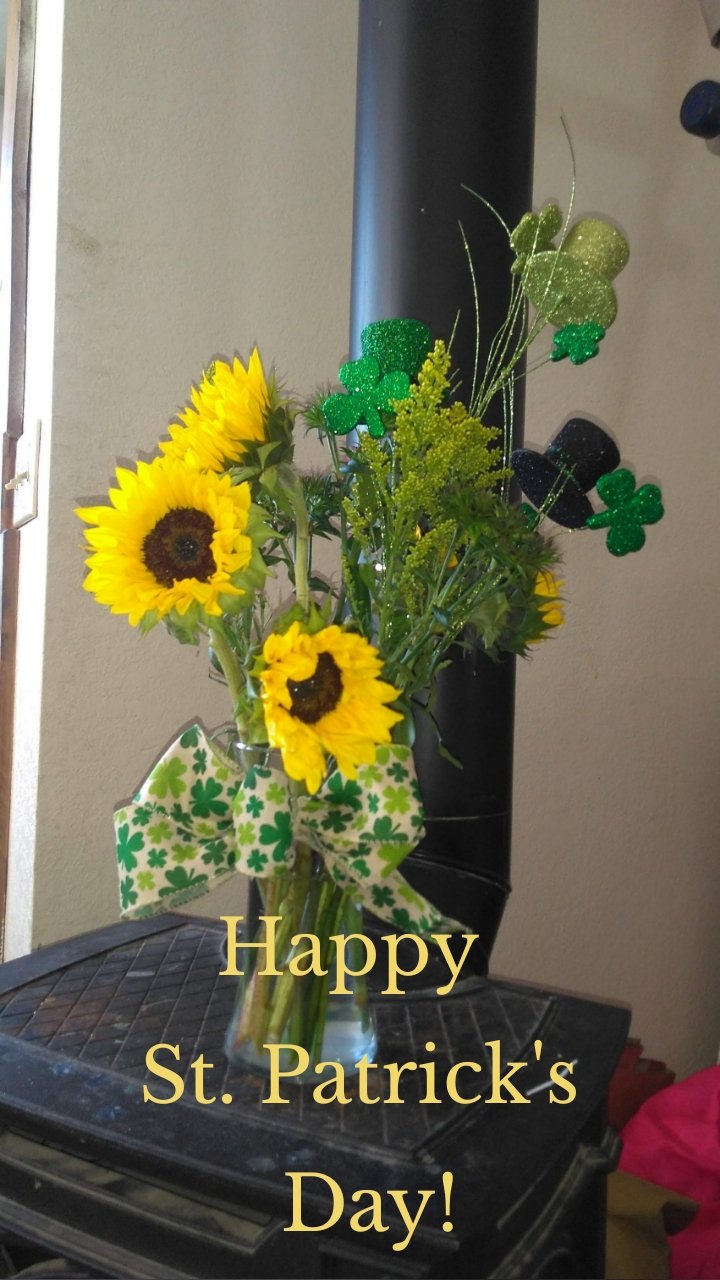 




Happy 
St. Patrick's
 Day!