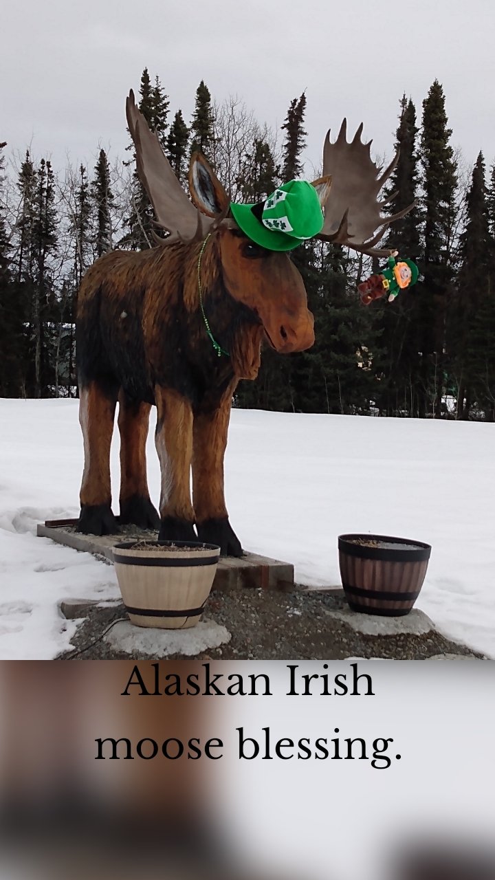 





Alaskan Irish moose blessing.