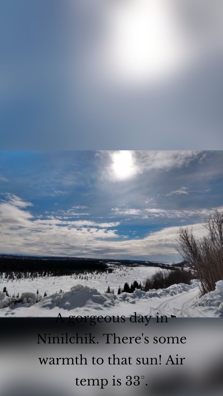 










A gorgeous day in Ninilchik. There's some warmth to that sun! Air temp is 33°.