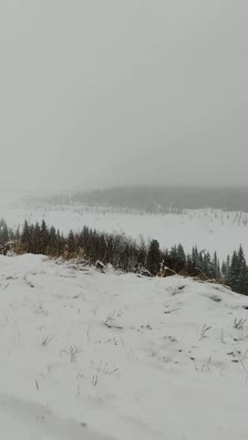 wp_story1649454054348_0