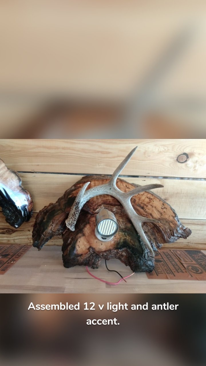 Assembled 12 v light and antler accent.