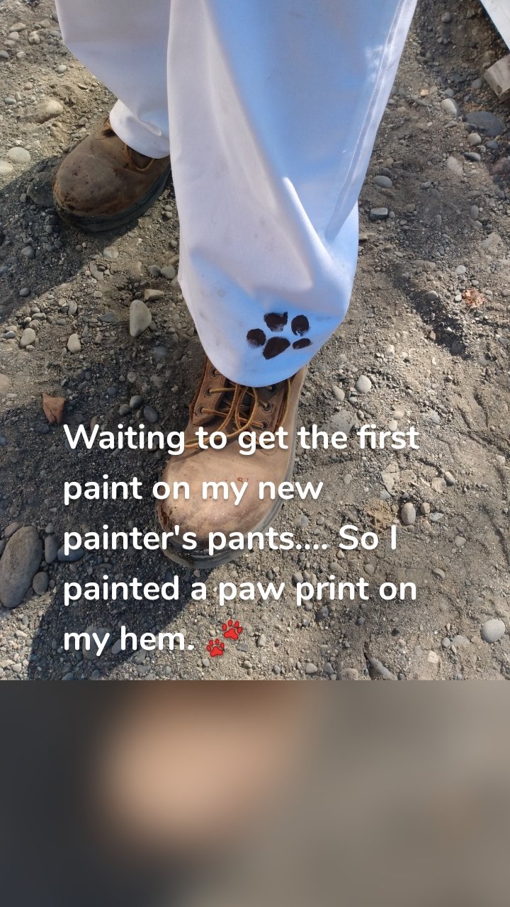 Waiting to get the first paint on my new painter's pants.... So I painted a paw print on my hem. 🐾