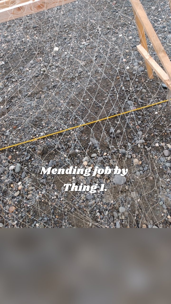 Mending job by
Thing 1.