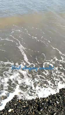 wp_story1655845810732_0
Best sleeping sounds!