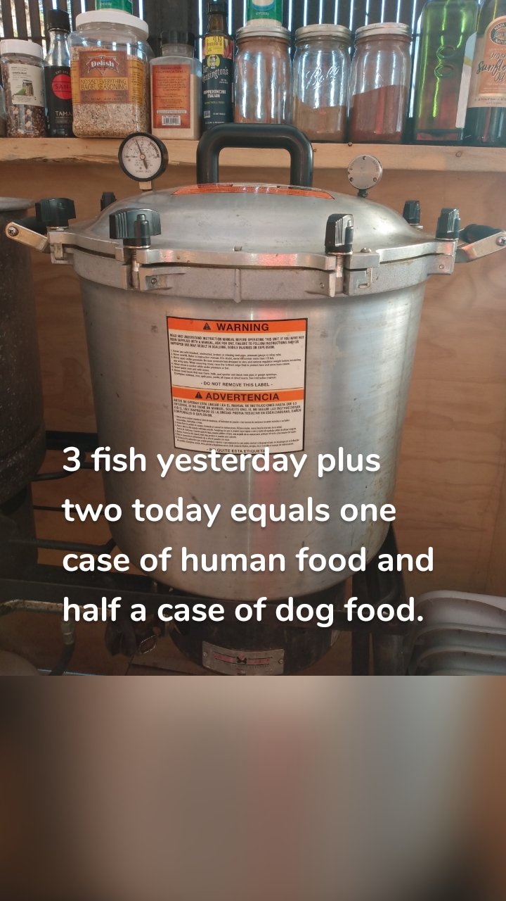 3 fish yesterday plus two today equals one case of human food and half a case of dog food.