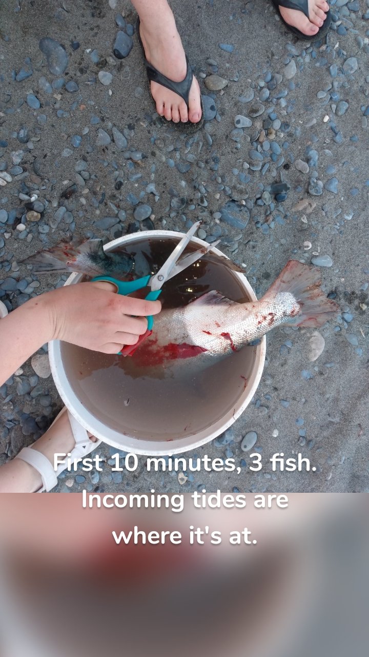 





First 10 minutes, 3 fish. Incoming tides are where it's at.