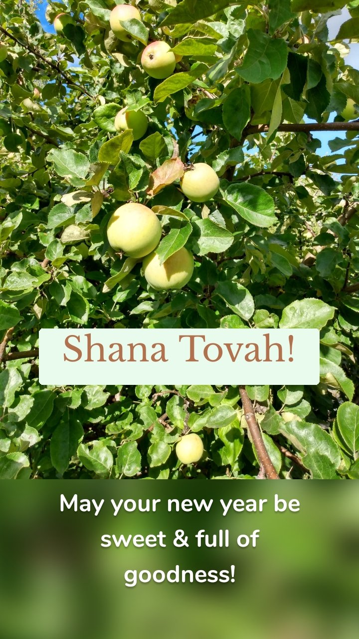  Shana Tovah! 
 








May your new year be sweet & full of goodness!