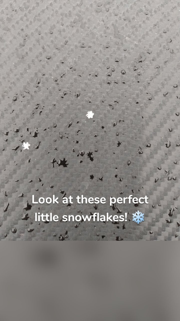 

Look at these perfect little snowflakes! ❄️