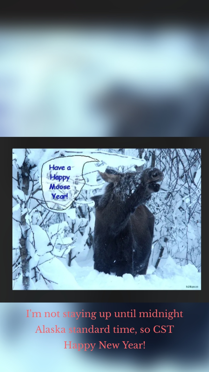 














I'm not staying up until midnight Alaska standard time, so CST Happy New Year!
