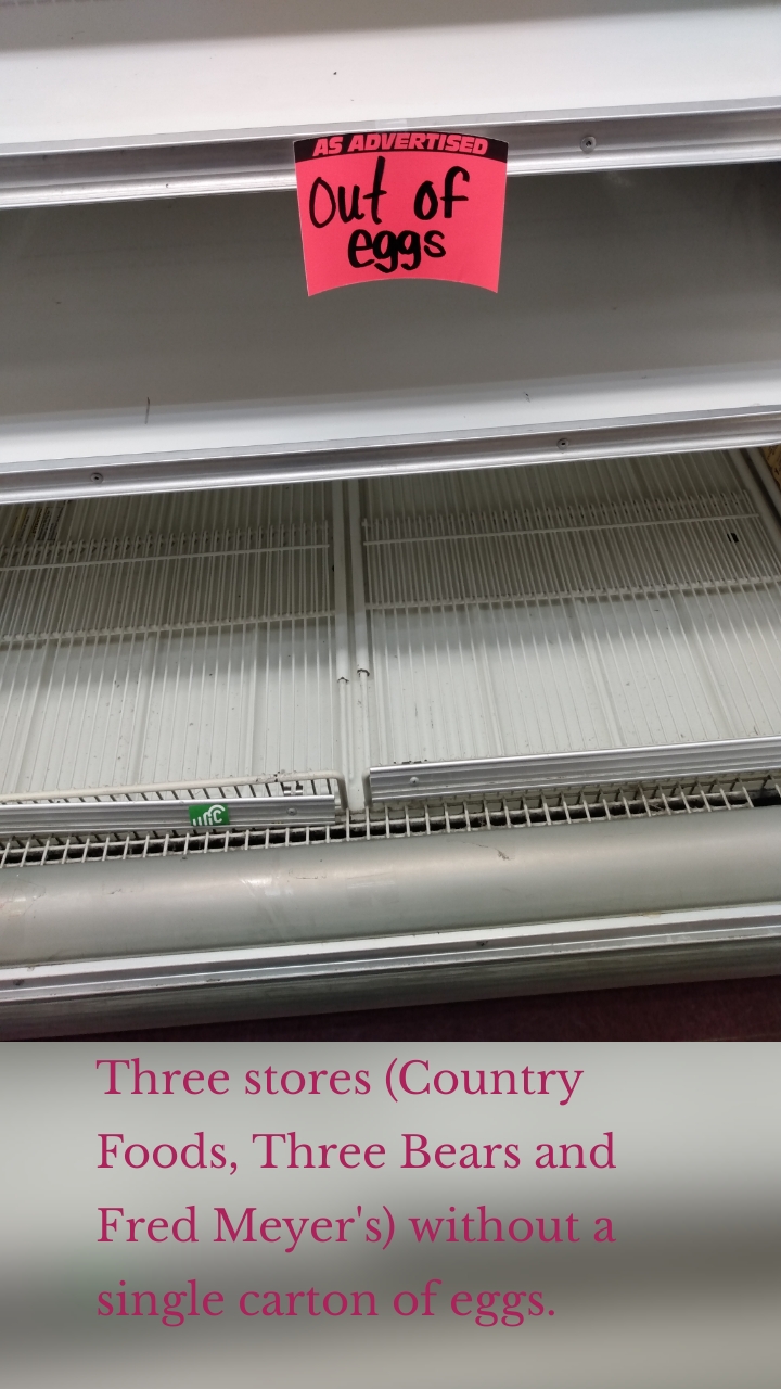 









Three stores (Country Foods, Three Bears and Fred Meyer's) without a single carton of eggs.