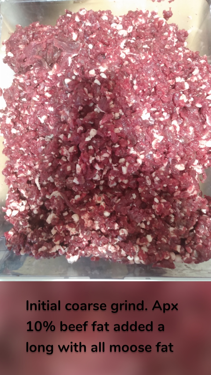 









Initial coarse grind. Apx 10% beef fat added a long with all moose fat 