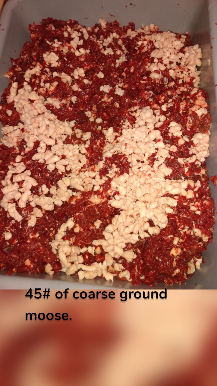 






45# of coarse ground moose.