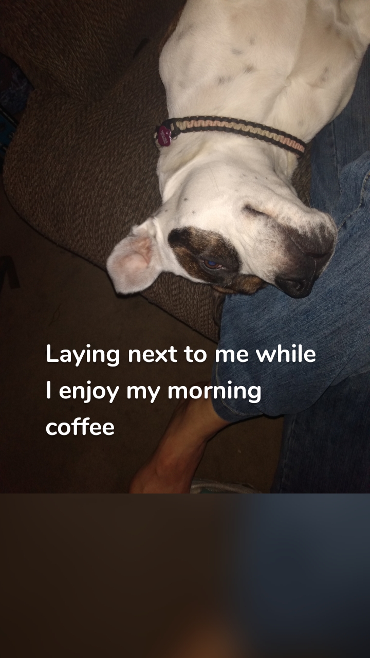 Laying next to me while I enjoy my morning coffee 