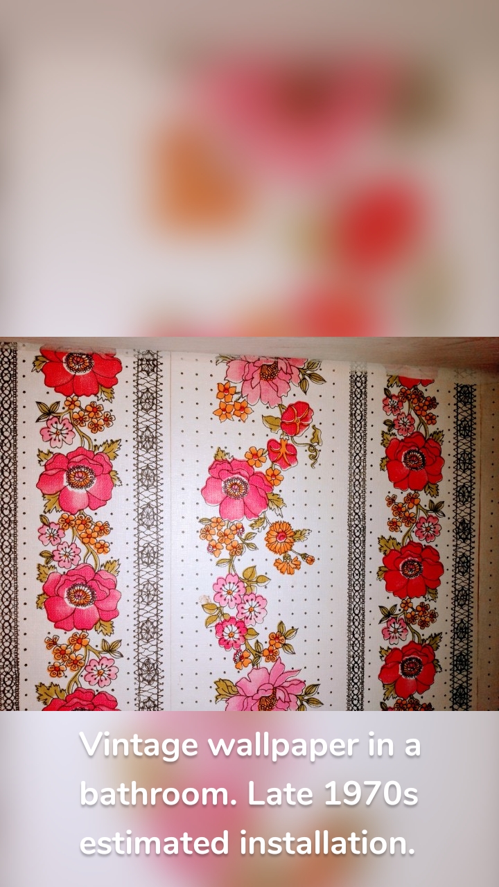 Vintage wallpaper in a bathroom. Late 1970s estimated installation.