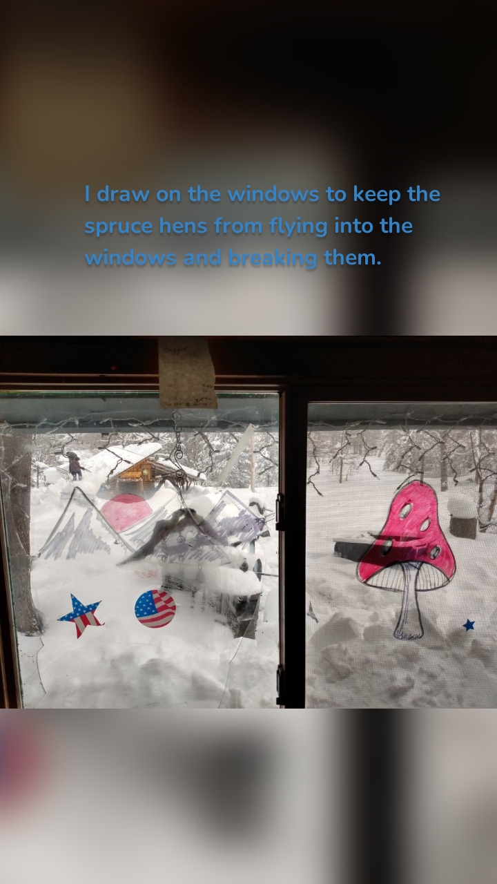 I draw on the windows to keep the spruce hens from flying into the windows and breaking them. 