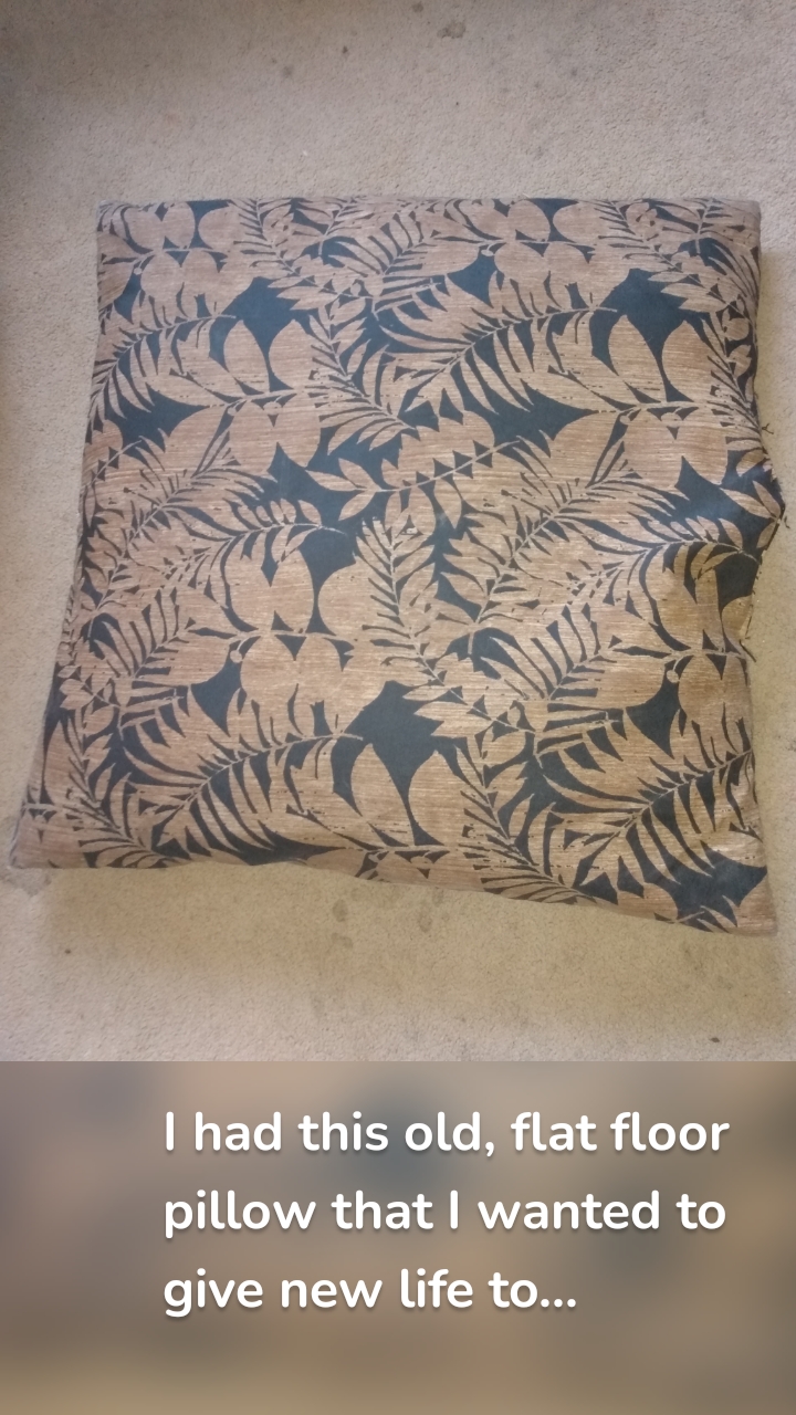 I had this old, flat floor pillow that I wanted to give new life to...