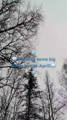 ❄️
🌨️Snowing some big flakes in mid-April!🌨️❄️