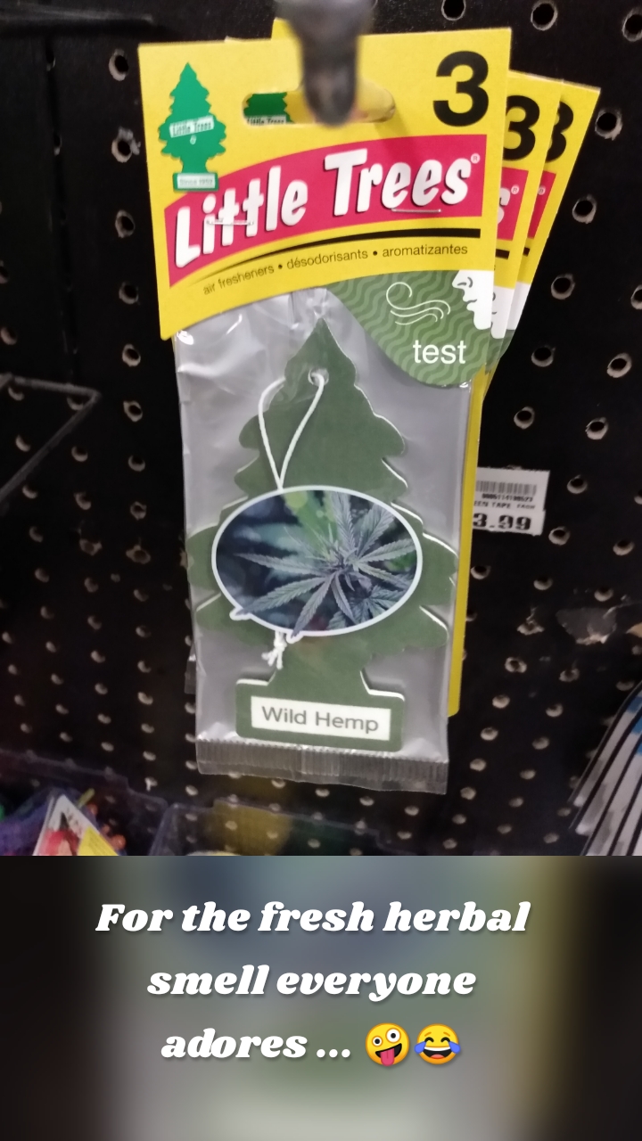 For the fresh herbal smell everyone adores ... 🤪😂