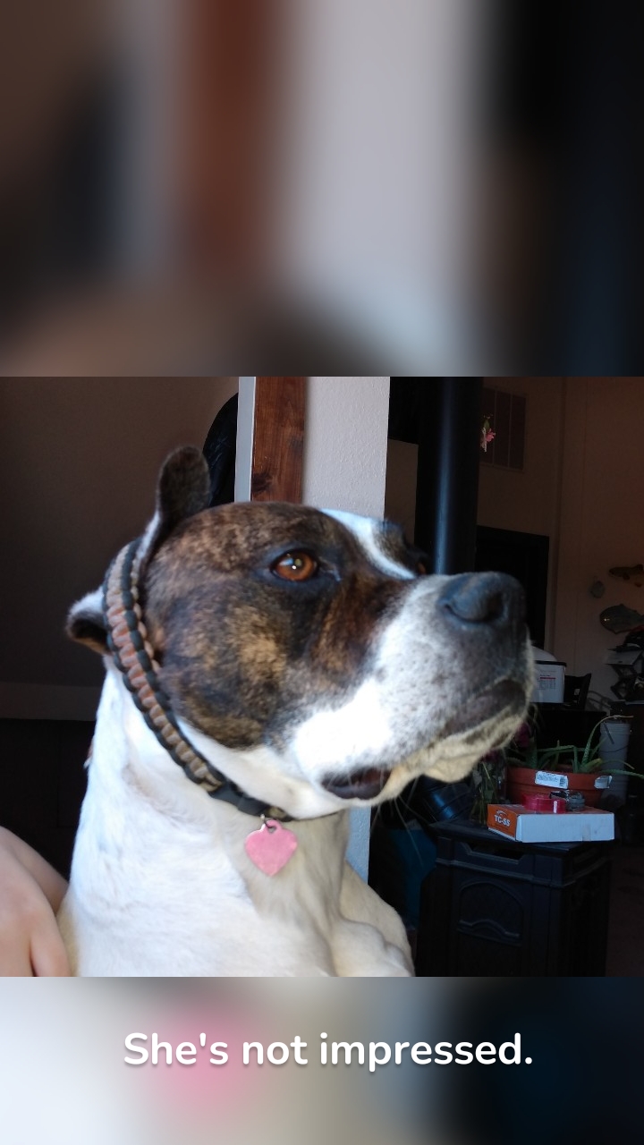 She's not impressed.