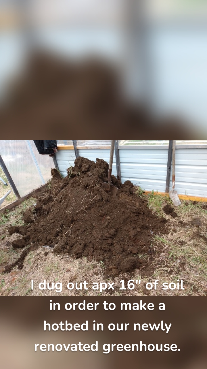 I dug out apx 16" of soil in order to make a hotbed in our newly renovated greenhouse.