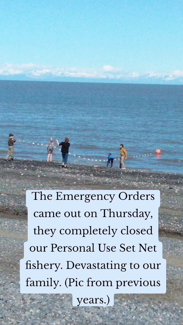 The Emergency Orders came out on Thursday, they completely closed our Personal Use Set Net fishery. Devastating to our family. (Pic from previous years.)