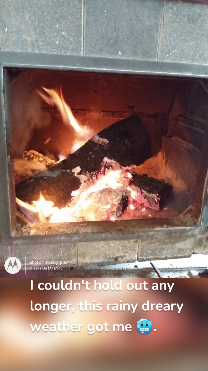 I couldn't hold out any longer, this rainy dreary weather got me 🥶.