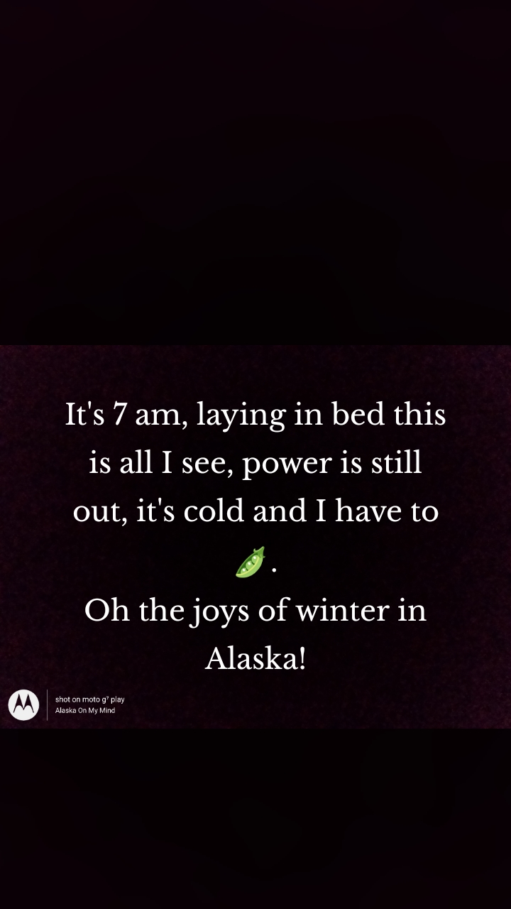 It's 7 am, laying in bed this is all I see, power is still out, it's cold and I have to 🫛.
Oh the joys of winter in Alaska!
