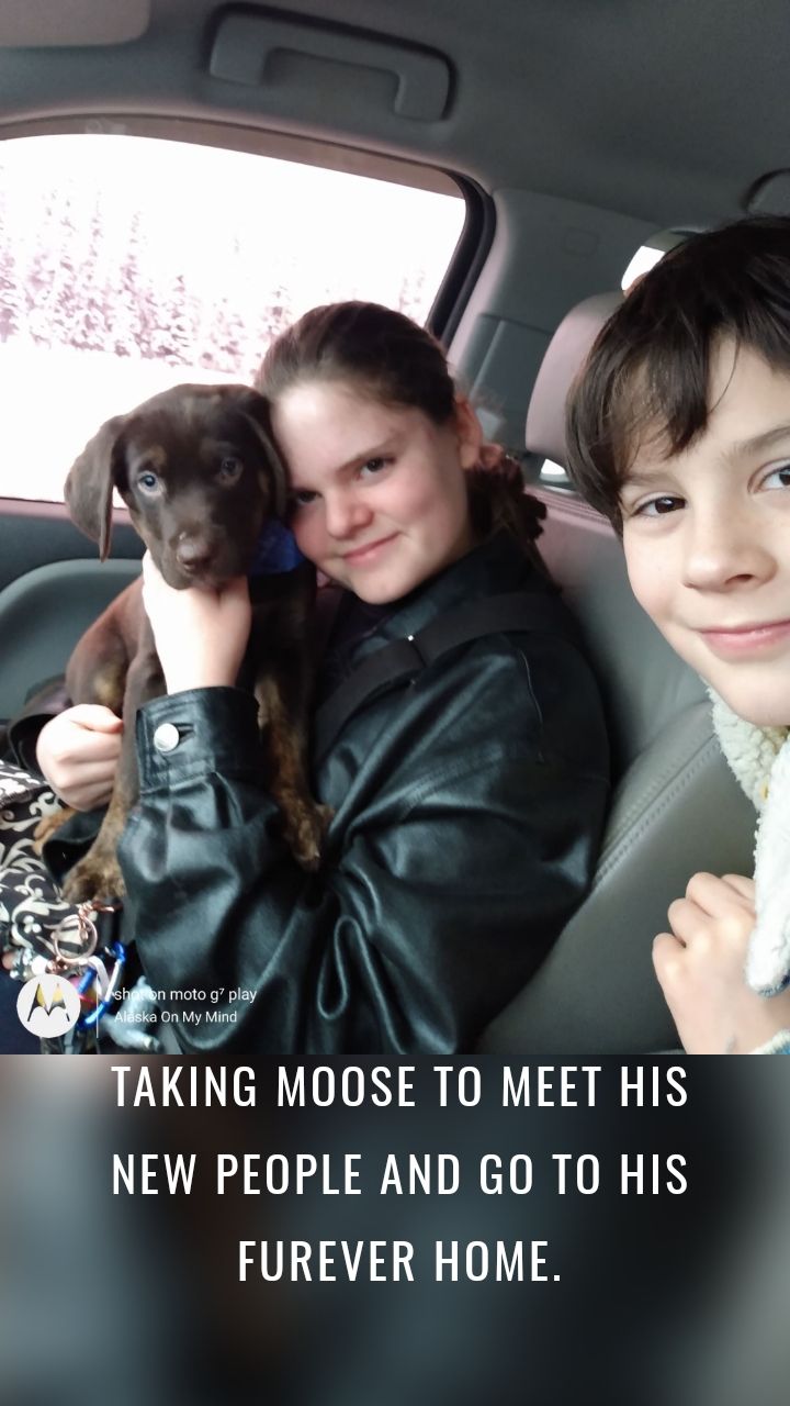Taking Moose to meet his new people and go to his furever home.